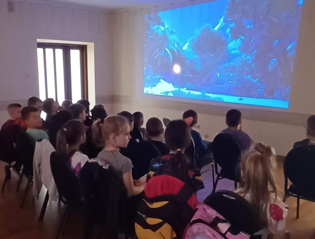 Animacje