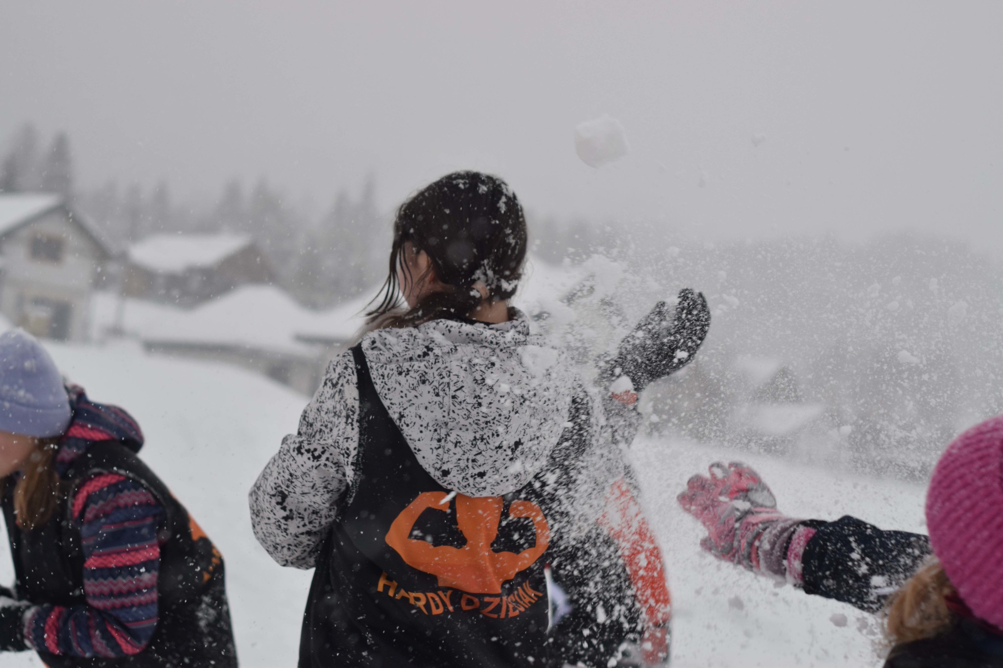 52667491749_66a0461b39_k