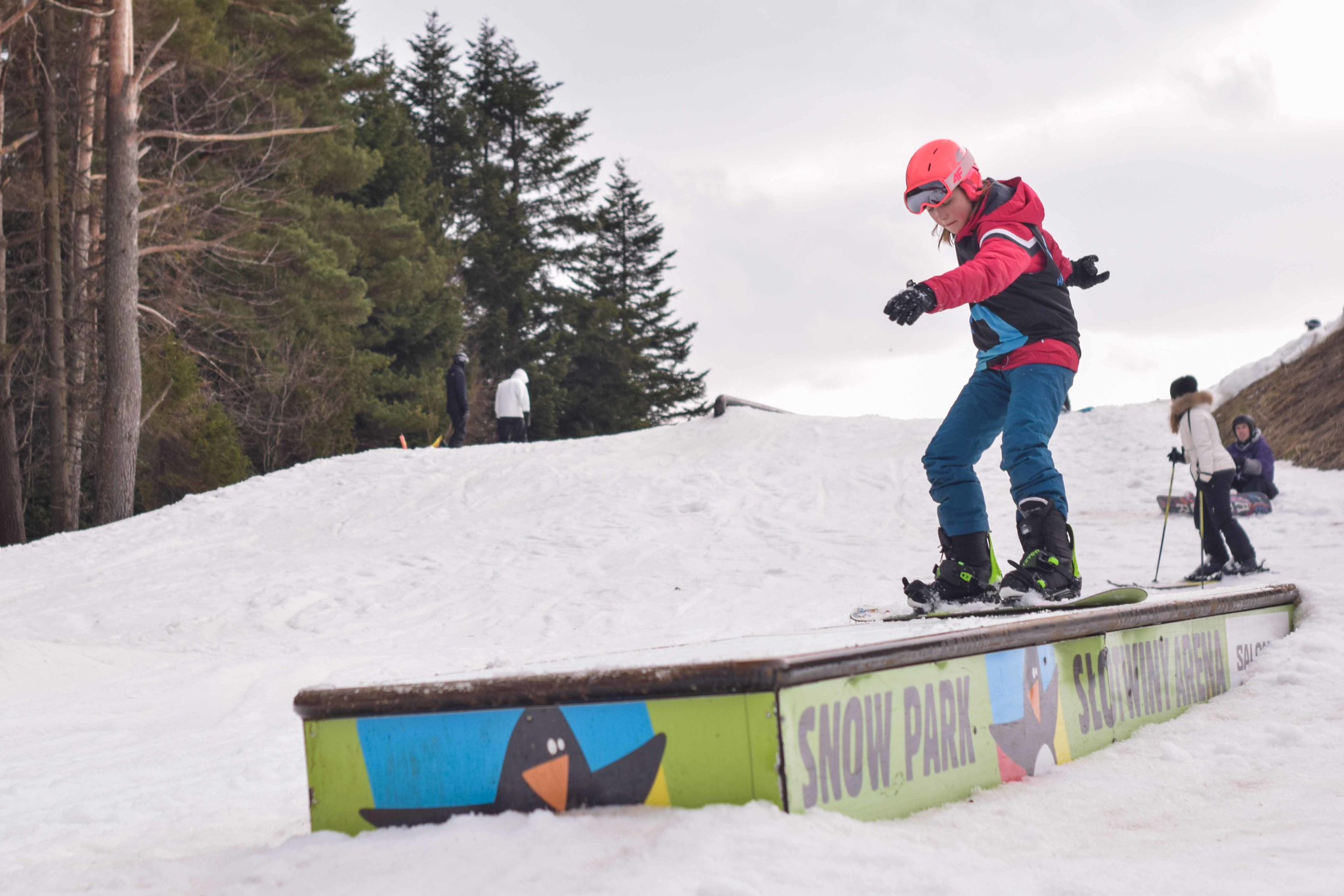 53546493555_7cf989fc27_k