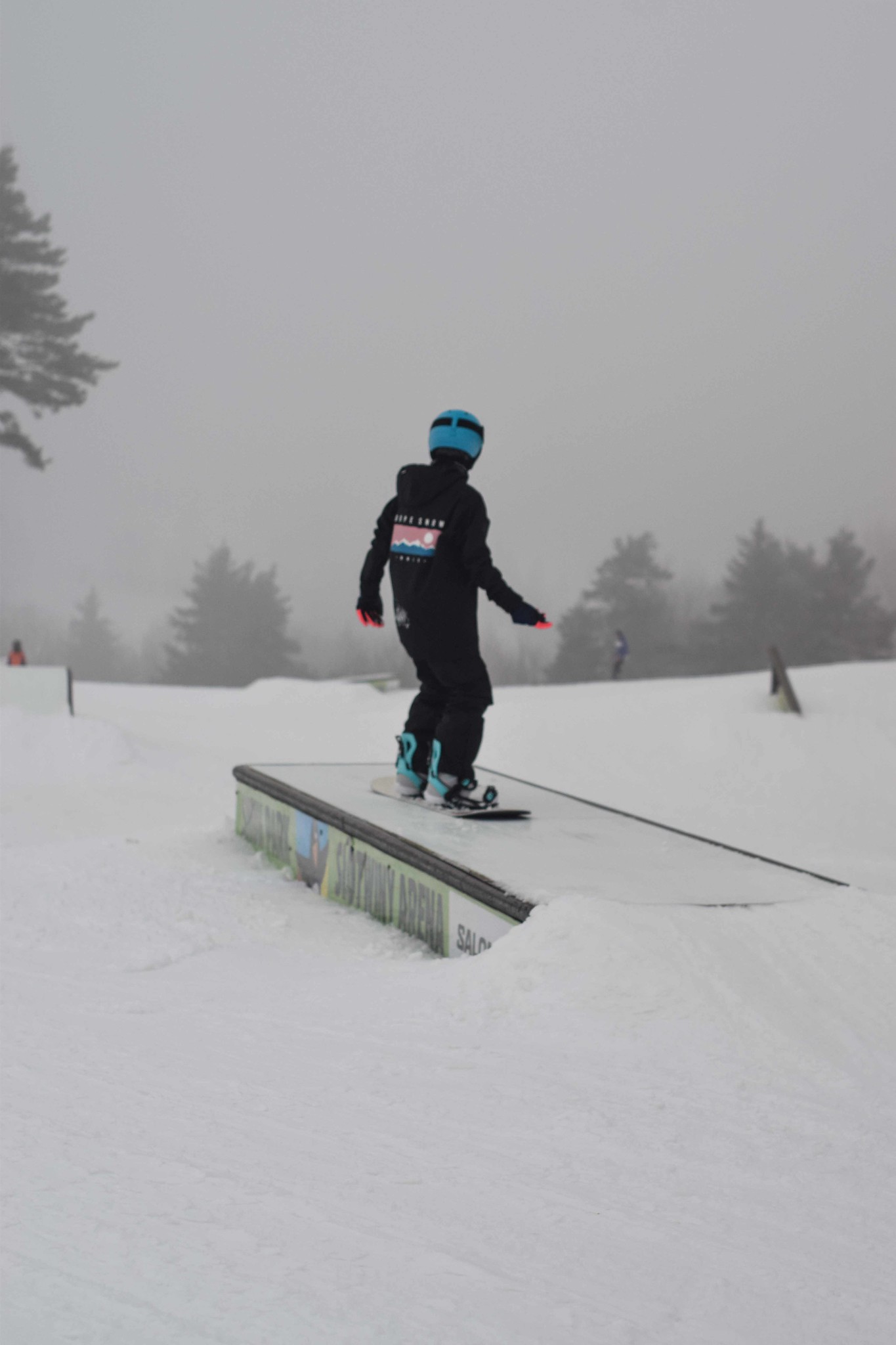 54281579661_631713b3ab_k