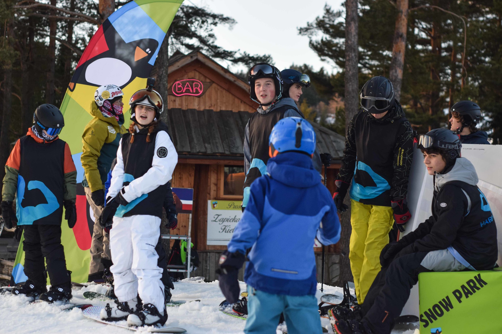 54295174761_0717784dc7_k