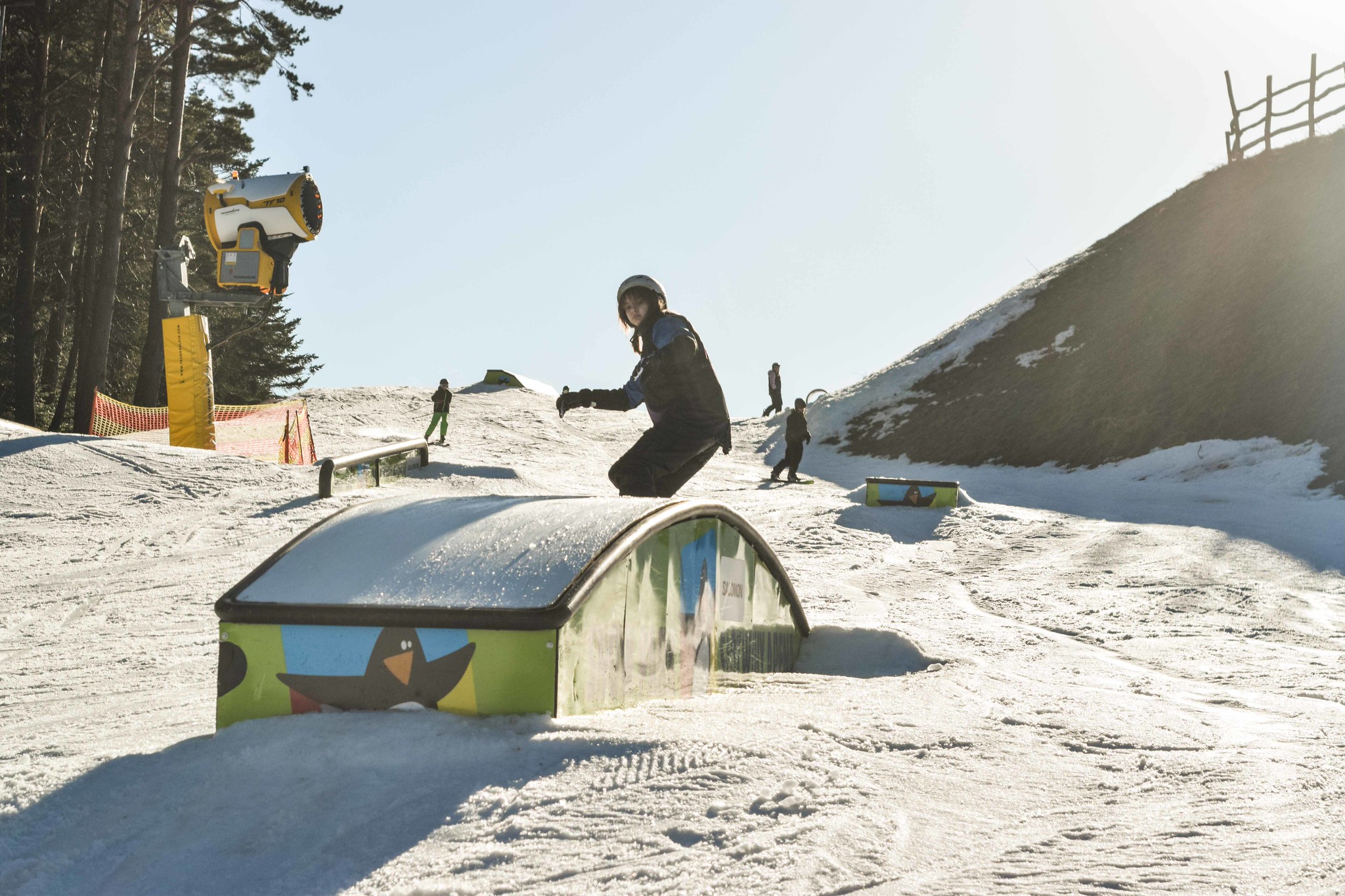 54297287833_2a2cff898a_k