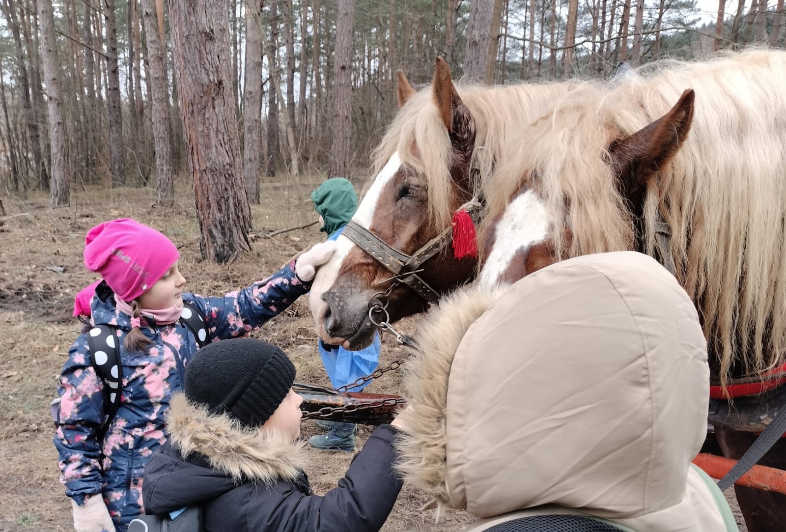 53542620681_52ae59585e_o