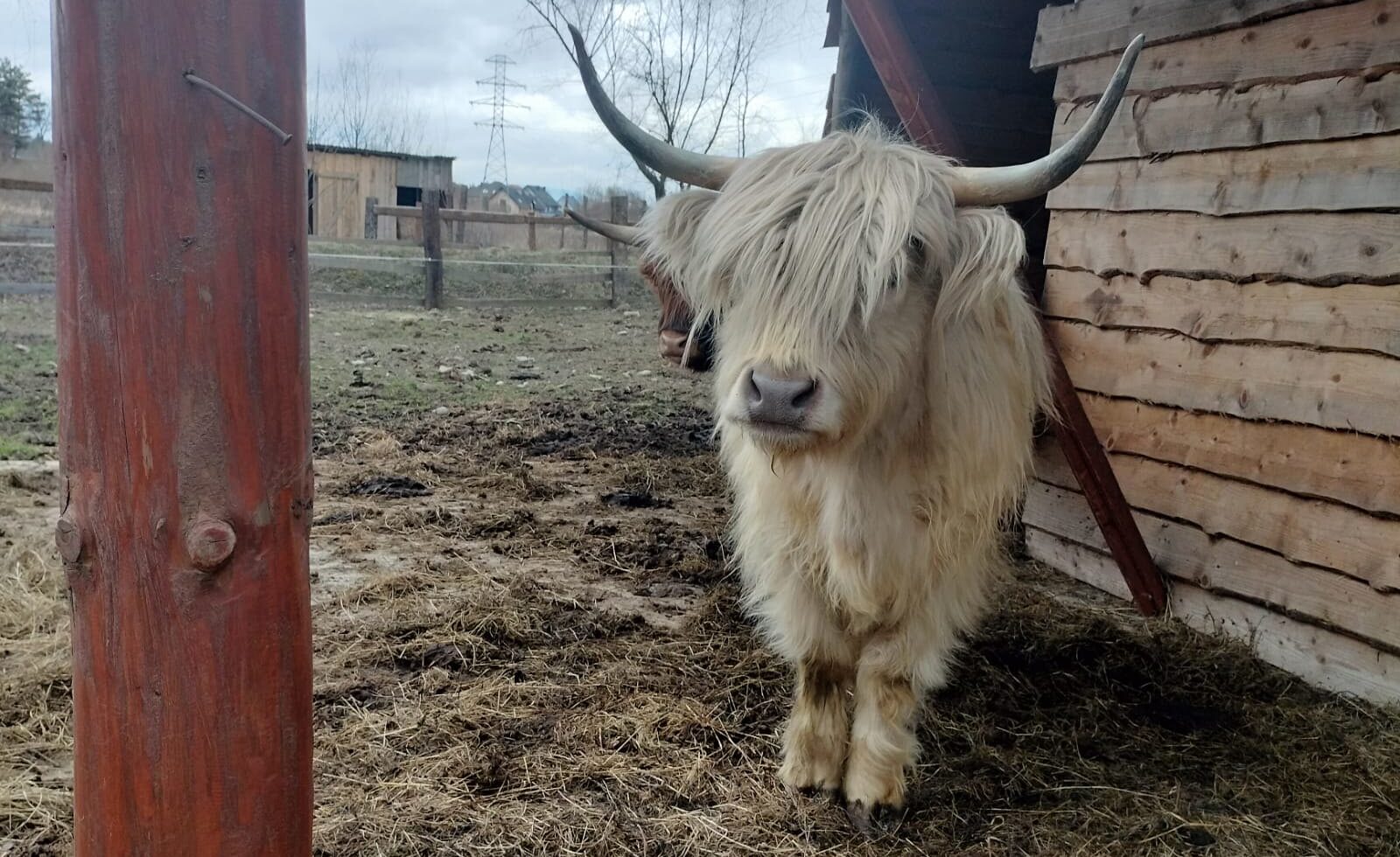 53542622246_ef1c932b71_h