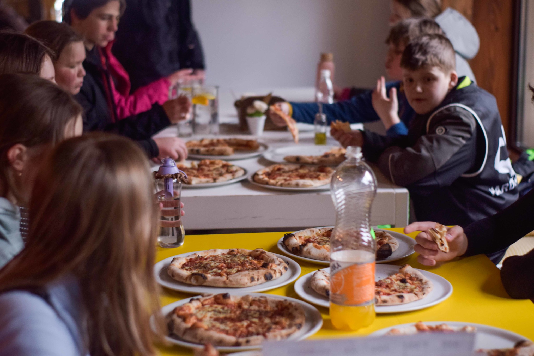 53546385959_b00d61a0d2_k