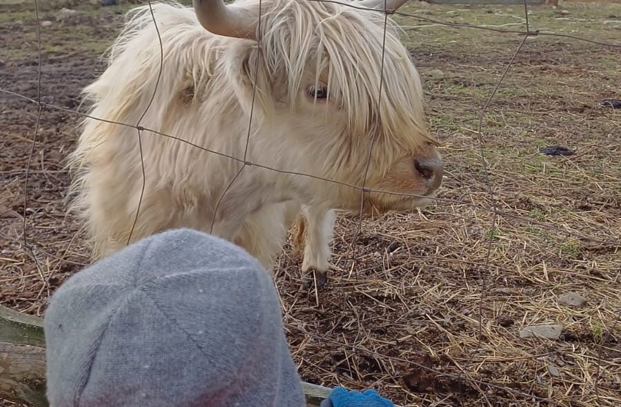 54292708457_6ec484be95_o