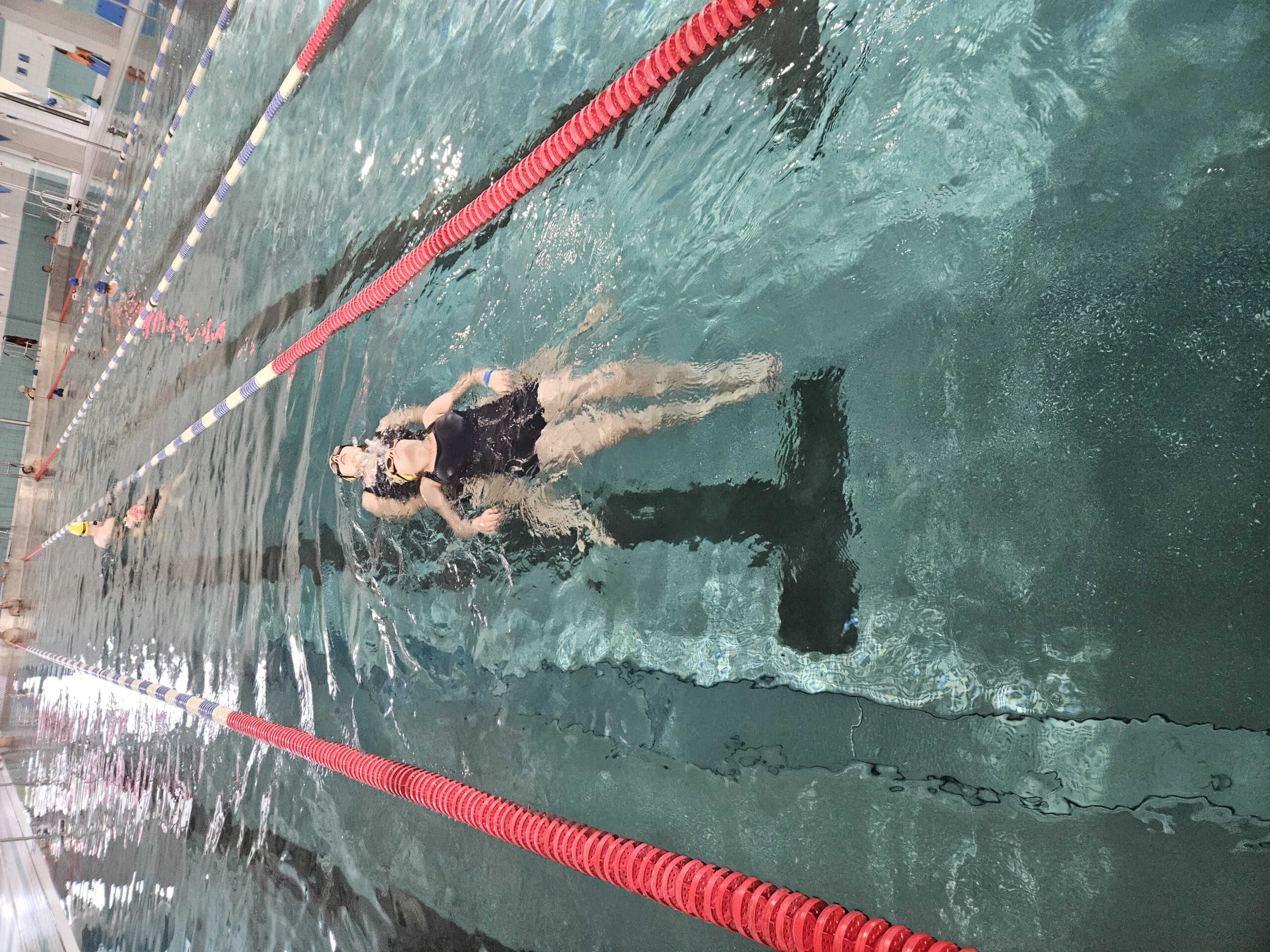 indywidualna nauka pływania Chełmiec